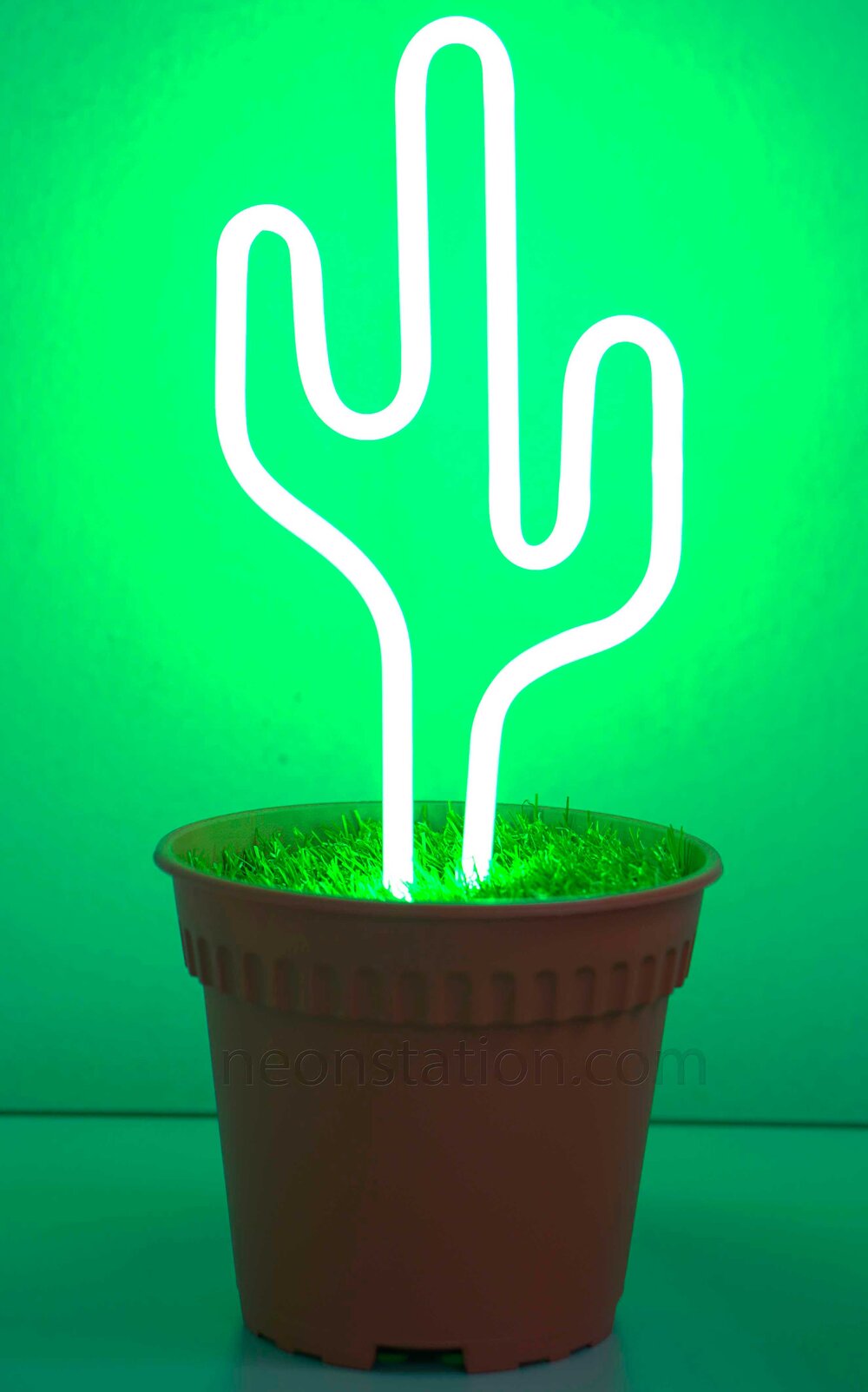 Potted Plant Cactus Neon Sign For Sale Neonstation
